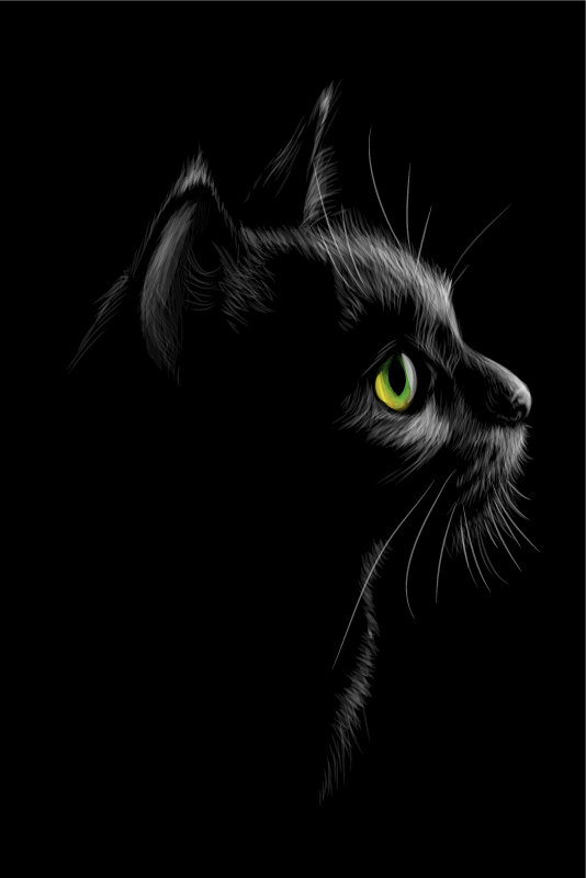 Poster woonkamer gekleurde katten met groene ogen - TenStickers