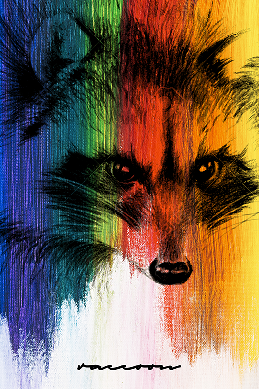 Poster woonkamer rainbow raccoon - TenStickers
