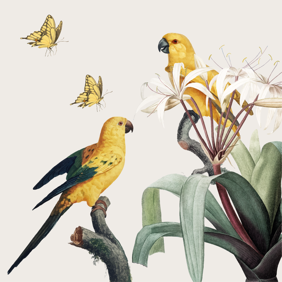 Poster woonkamer papegaaien met gele bloemen en vlinders - TenStickers