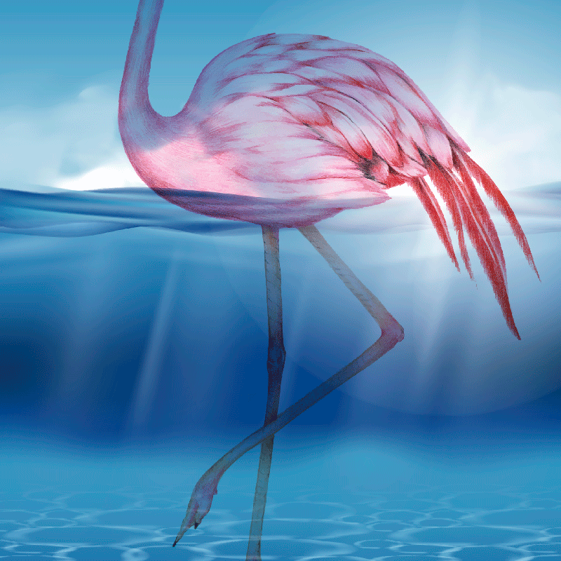 Poster woonkamer onderwaterontwerp van flamingo - TenStickers