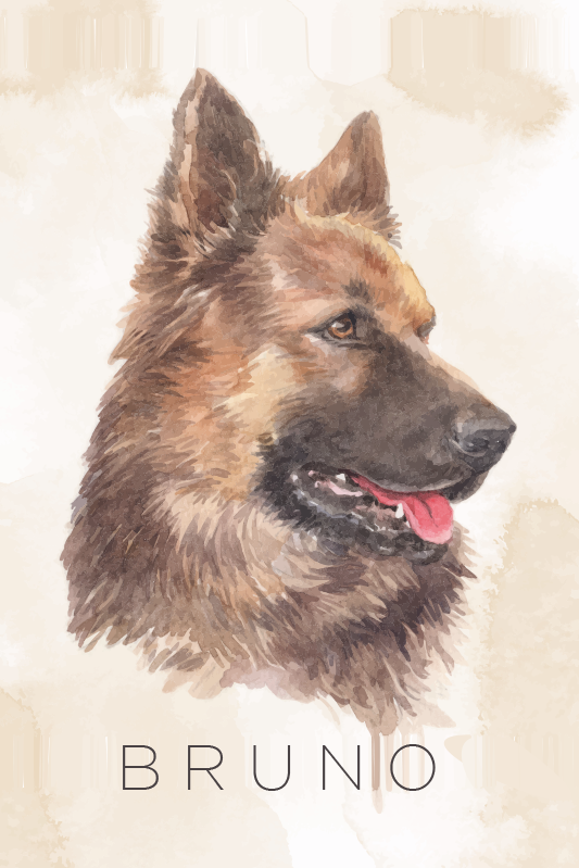Aanpasbare poster duitse herder portret - TenStickers