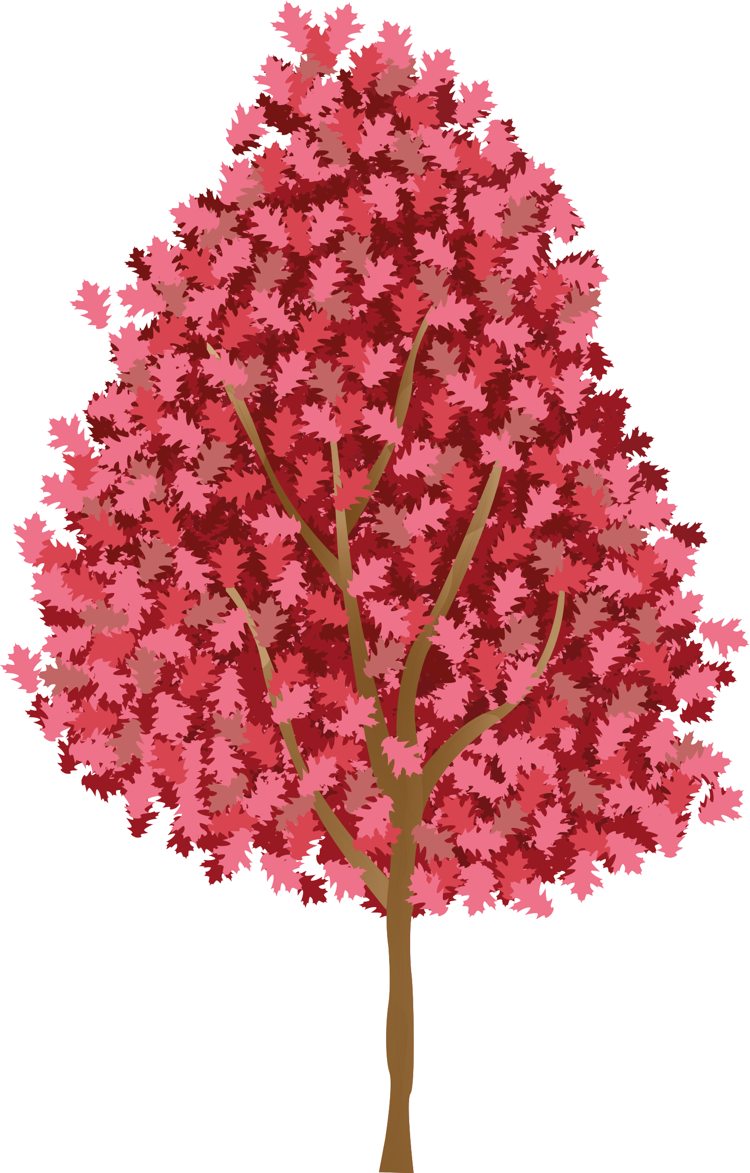Bomen poster boom met roze bloemen - TenStickers