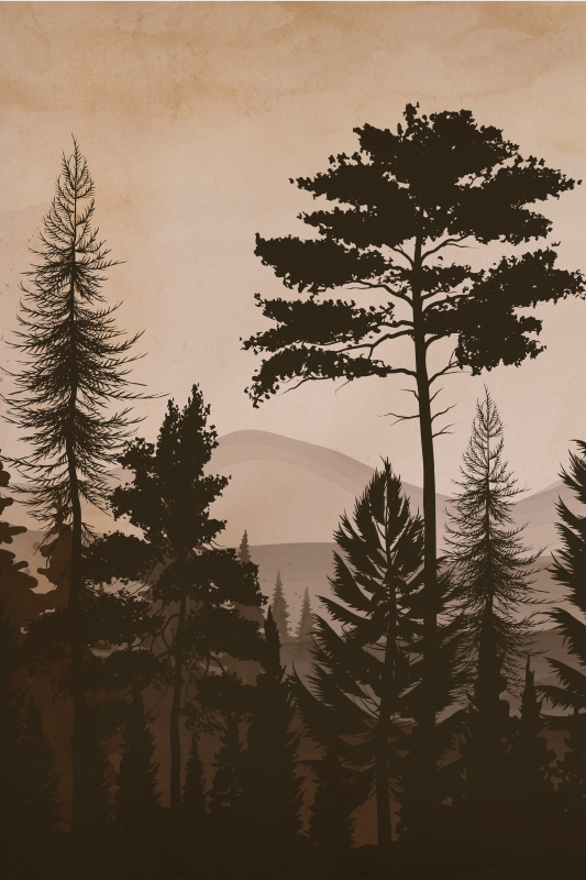 Bomen poster scandinavische stijl warm gekleurd bos - TenStickers