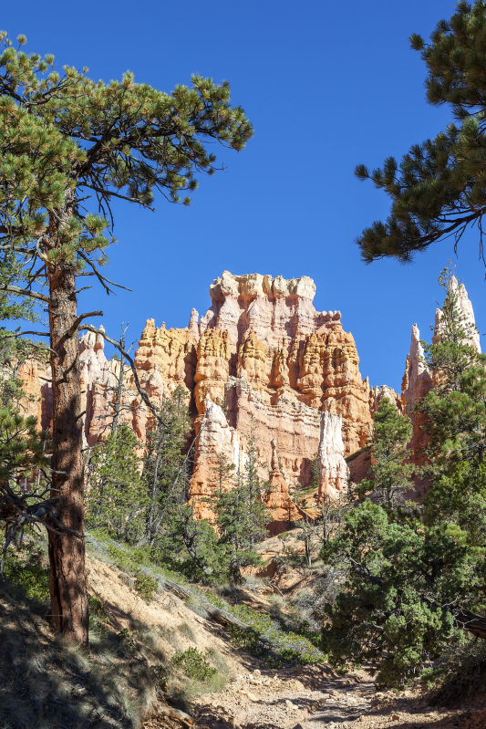 Poster landschap bryce canyon - TenStickers