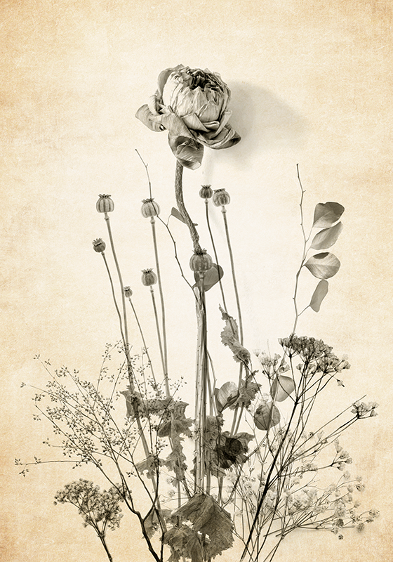 Planten poster boeket bloemen op beige achtergrond - TenStickers