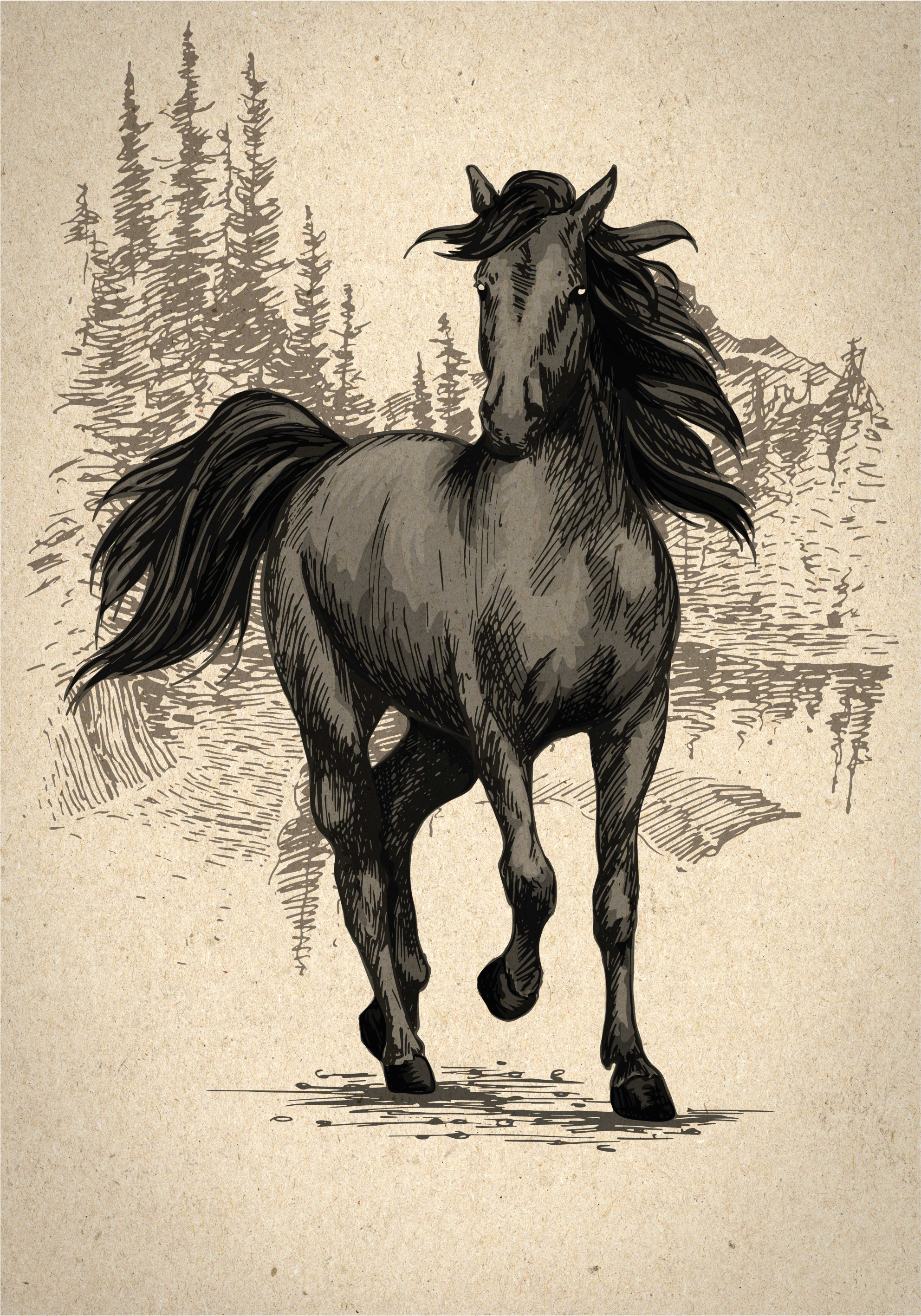 Poster met paarden tekening - TenStickers