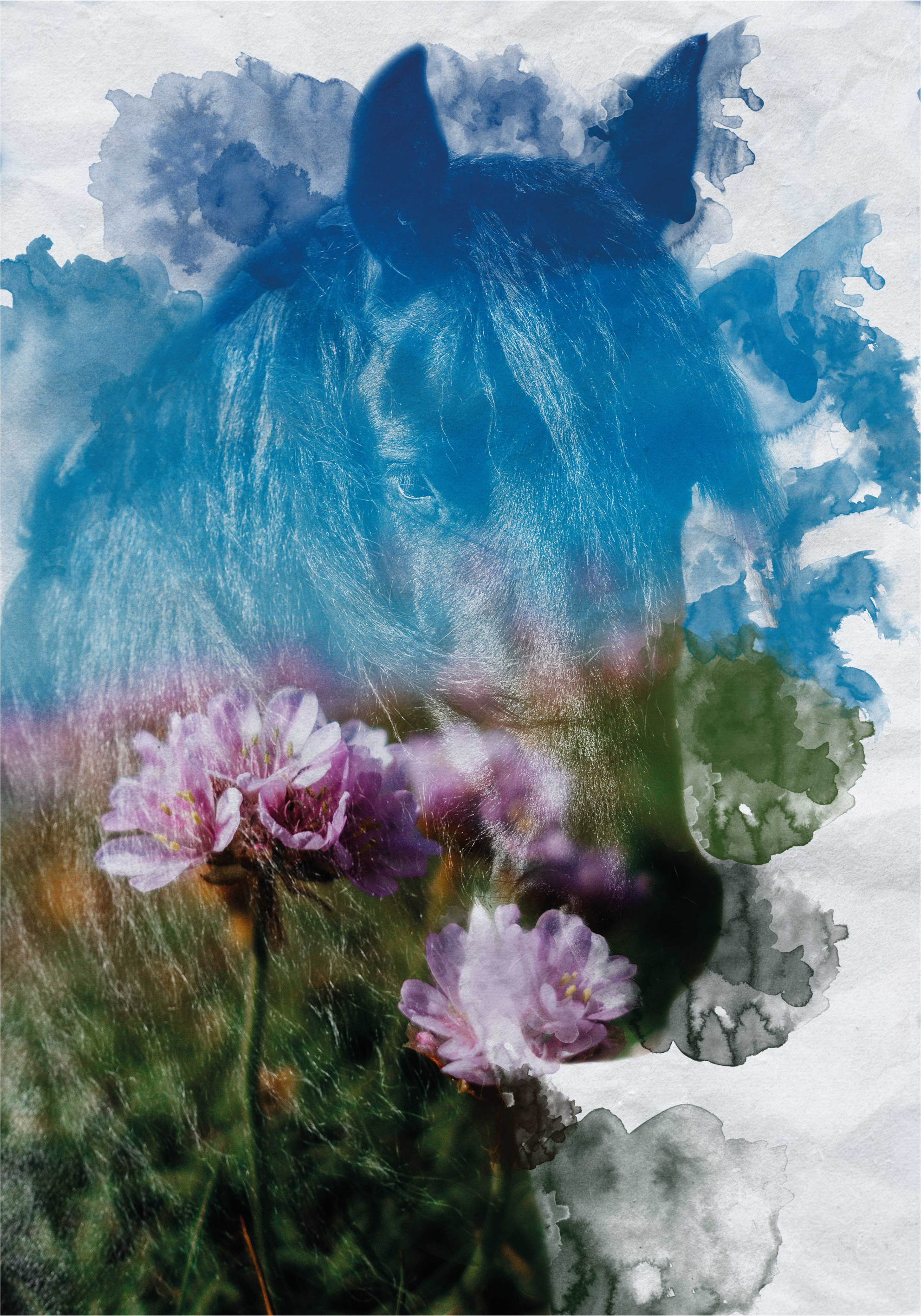 Poster paarden waterkleur - TenStickers