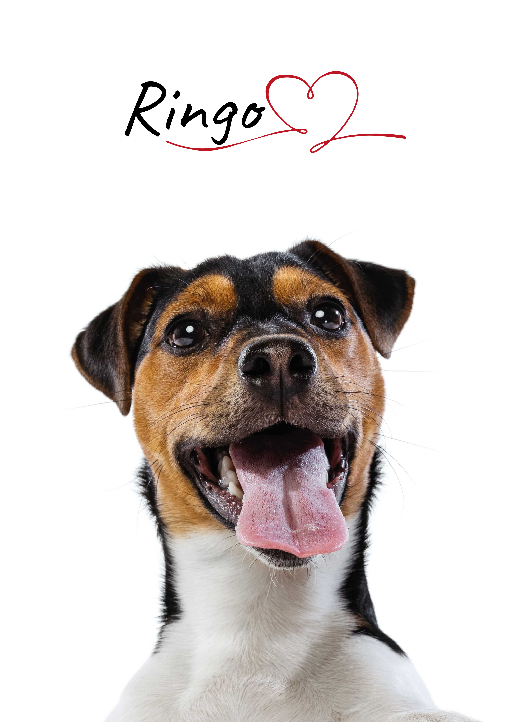 Aanpasbare honden poster met naam - TenStickers