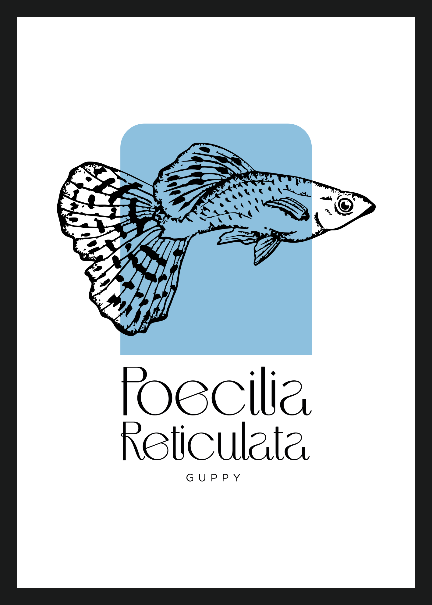 Poster van vis met zin "Poecilia Reticulata" - TenStickers