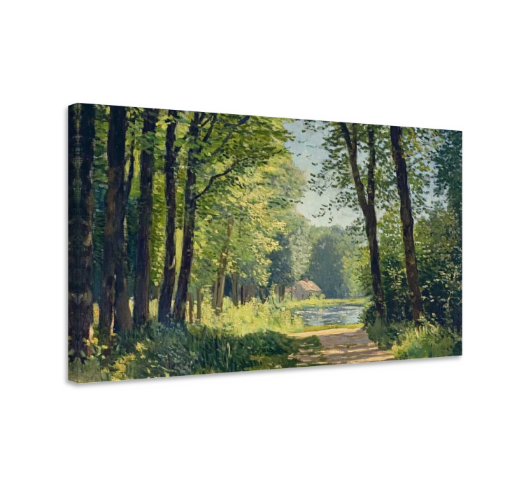 Groen bos Canvas landschap - TenStickers