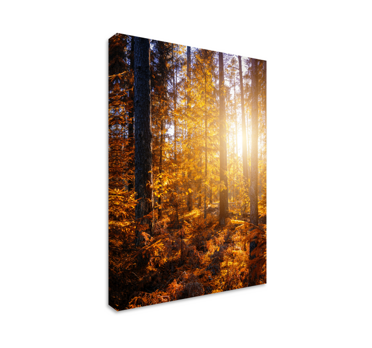 Canvas landschap Bos zon bomen - TenStickers