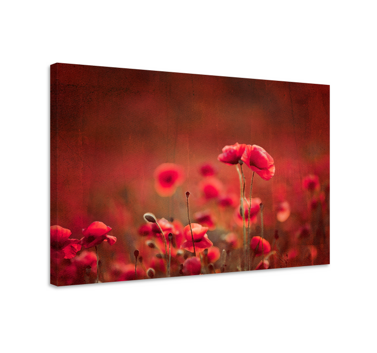 Canvas schilderij bloemen en planten stralend klaprozenveld - TenStickers