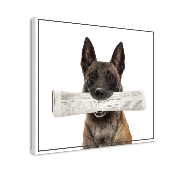 Canvas schilderij hond met krant in de bek - TenStickers