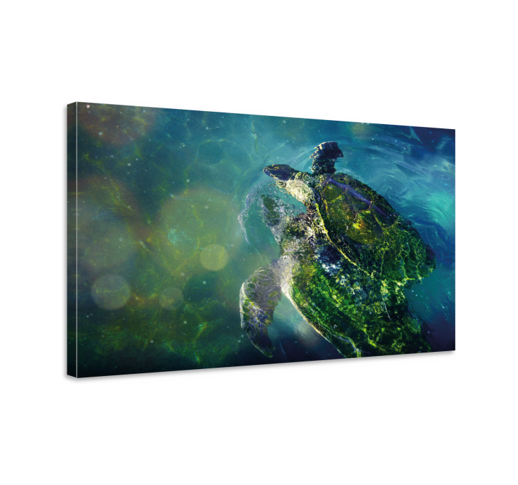 Canvas schilderij marine elegante zeeschildpad - TenStickers