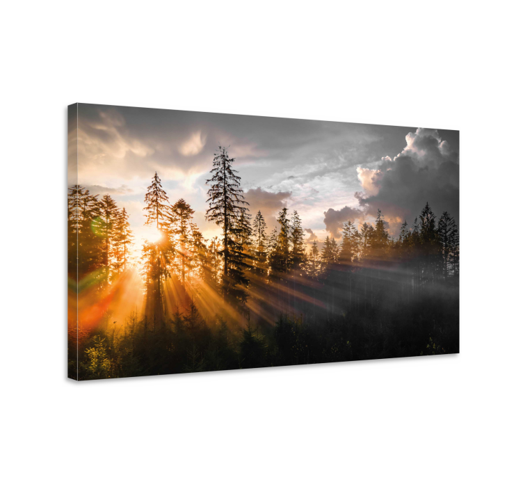 Canvas landschap Bos met mist en zon - TenStickers