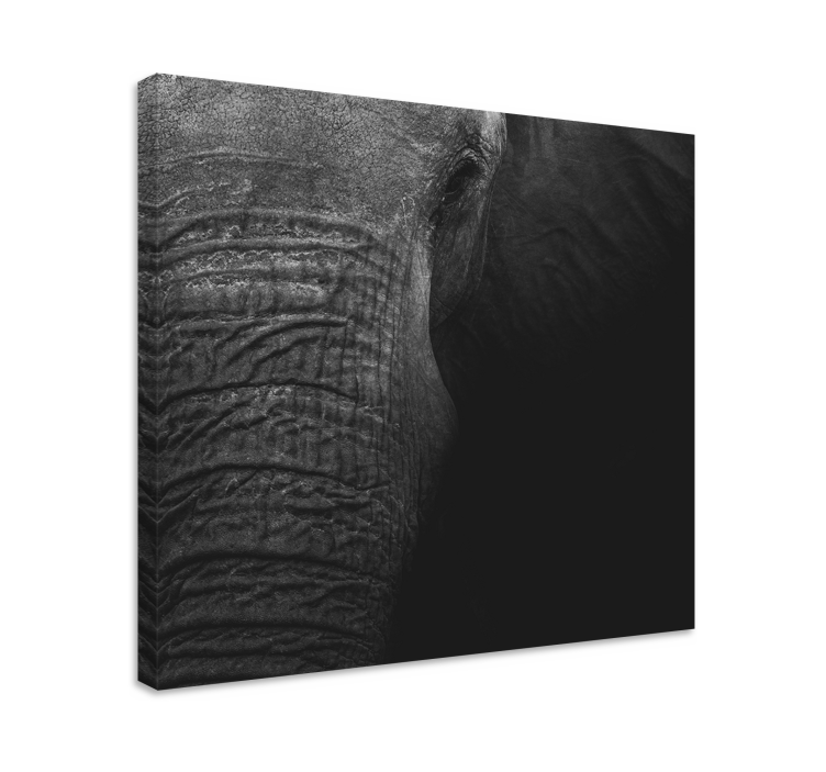 Canvas schilderij olifant majestueus olifantenportret - TenStickers