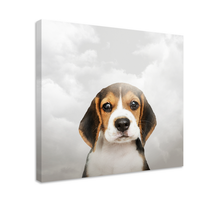 Canvas schilderij hond beagle portret - TenStickers