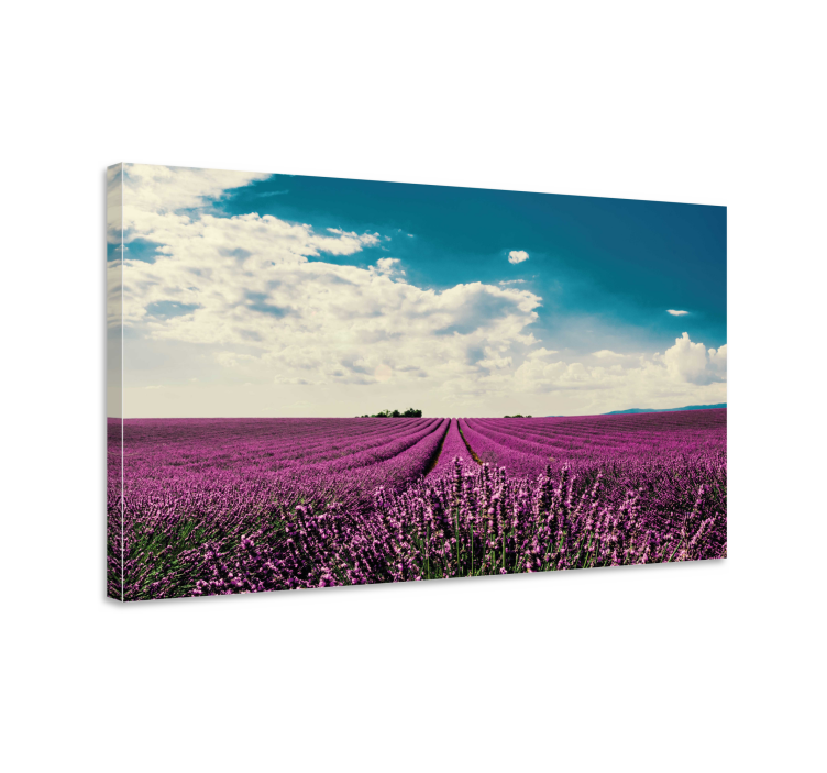 Canvas schilderij bloemen en planten lavendelveld landschap - TenStickers