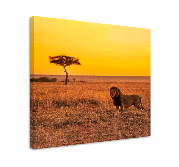 Canvas schilderij andere dieren Wilde savanneboom in de avond - TenStickers