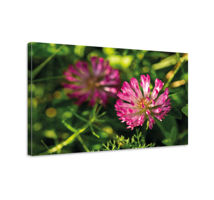 Canvas schilderij bloemen en planten roze bloemencluster - TenStickers