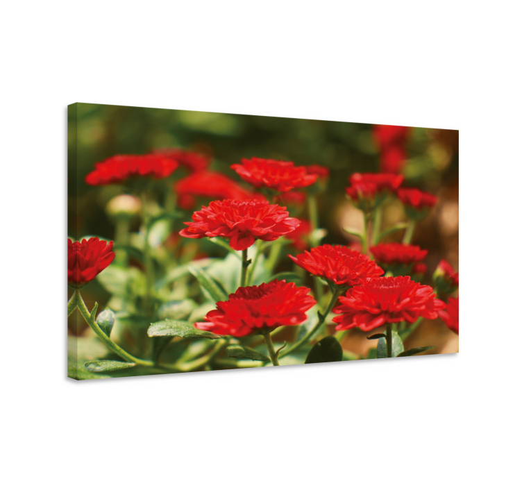 Canvas schilderij bloemen en planten rode bloemen - TenStickers