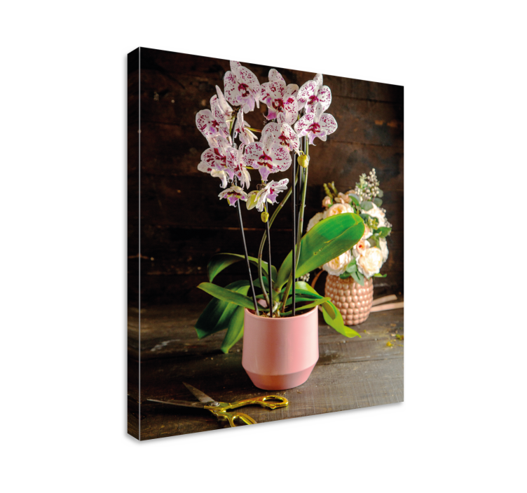 Orchideeën arrangement Canvas schilderij bloemen en planten - TenStickers