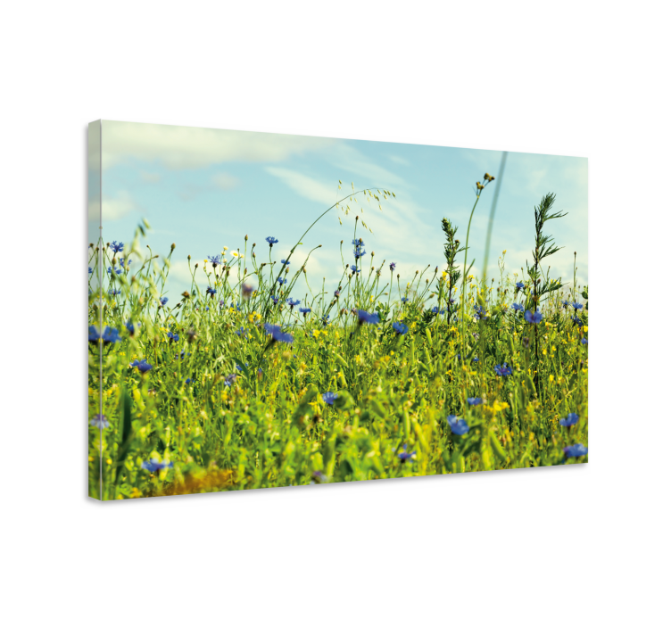 Canvas schilderij bloemen en planten weide met wilde bloemen - TenStickers