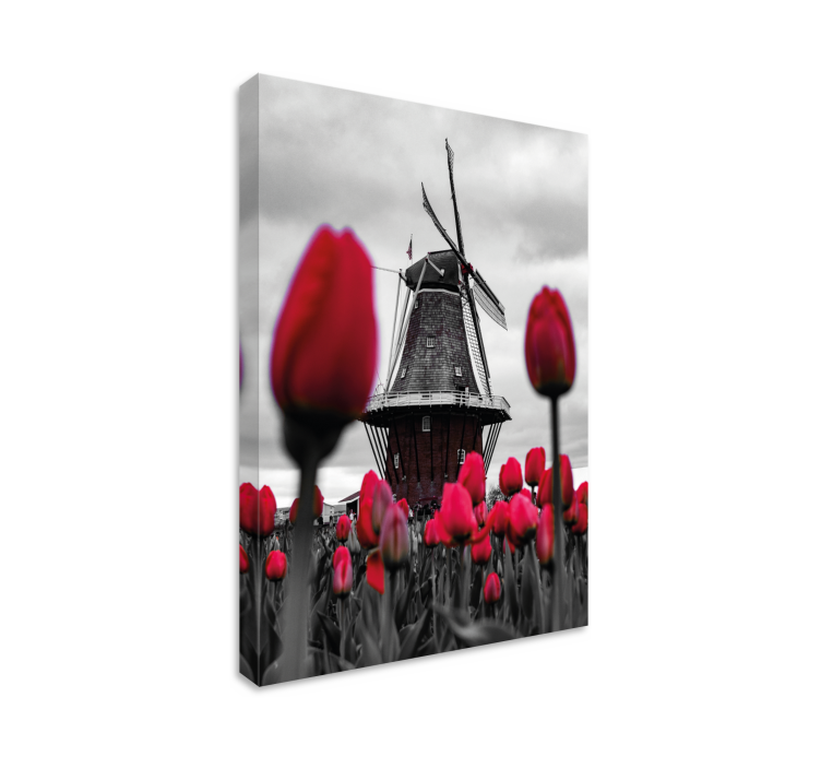 Canvas landschap windmill en tulpen - TenStickers