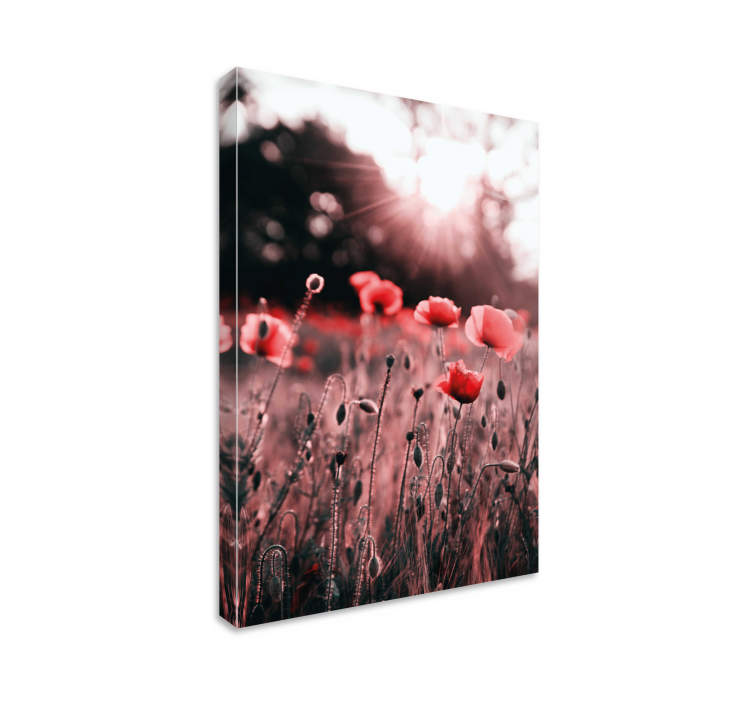 Canvas schilderij bloemen en planten poppyweide straling - TenStickers