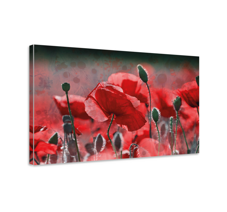 Canvas schilderijen bloemen Rood en groen papaverveld - TenStickers
