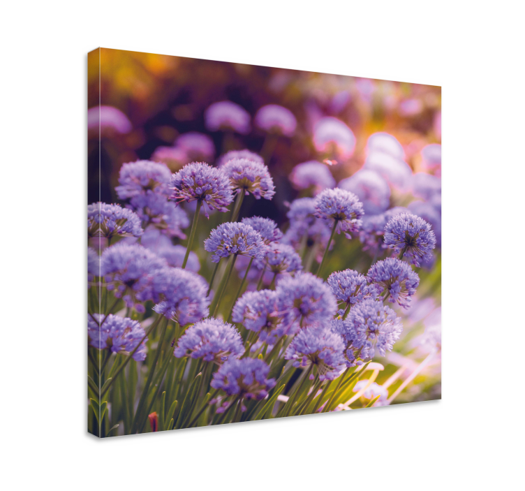 Canvas schilderij bloemen en planten paarse bloeiwijzen - TenStickers