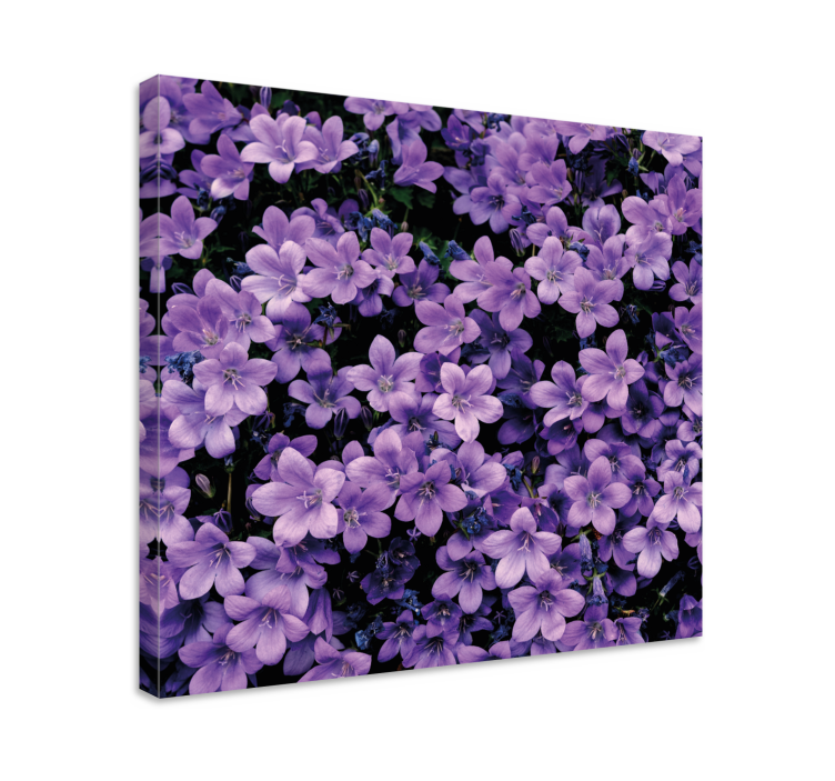 Canvas schilderijen bloemen Vage paarse bloemen - TenStickers