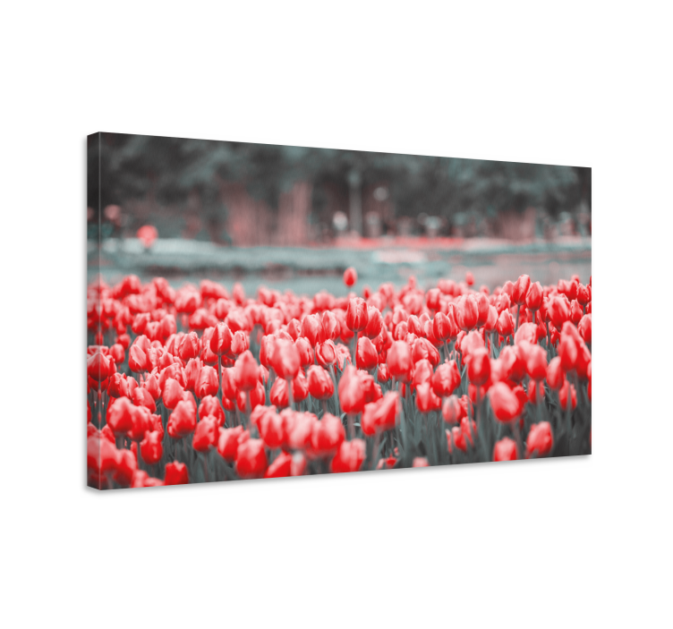 Canvas schilderij bloemen en planten tulpenveld - TenStickers