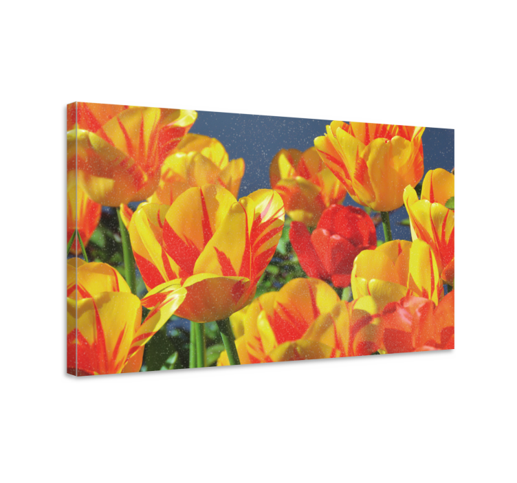 Canvas schilderij bloemen en planten tulpenbloesems - TenStickers