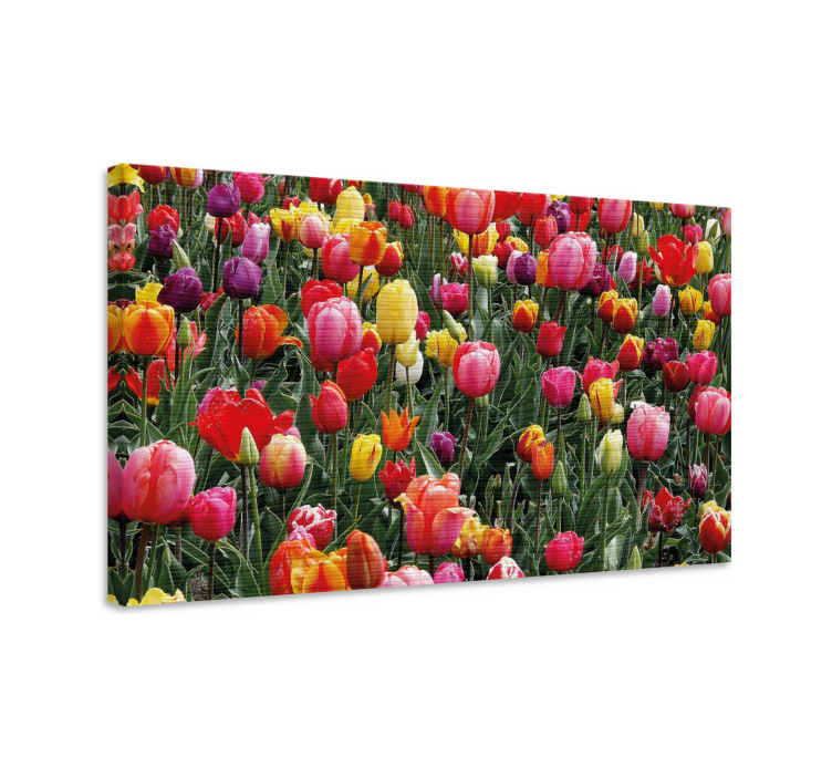 Canvas schilderij bloemen en planten kleurige tulp bloemen - TenStickers
