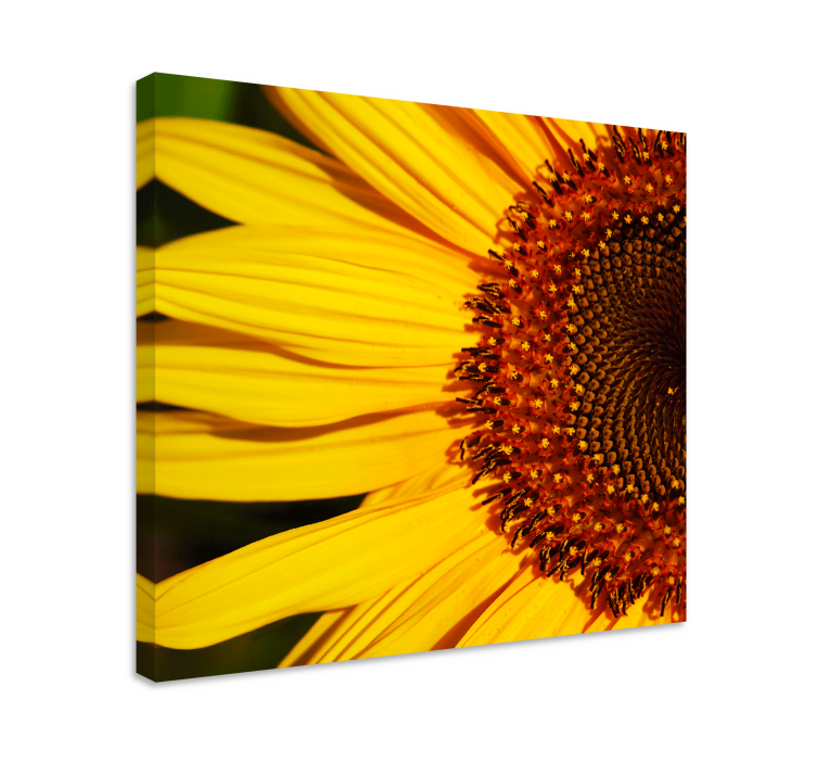 Canvas schilderij bloemen en planten zonnebloemdetail - TenStickers