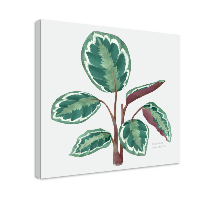 Levendige bladplant Canvas schilderij bloemen en planten - TenStickers