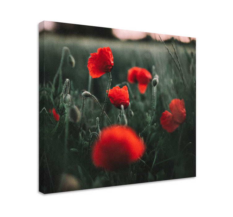 Canvas schilderij bloemen en planten vivid klaprozen - TenStickers