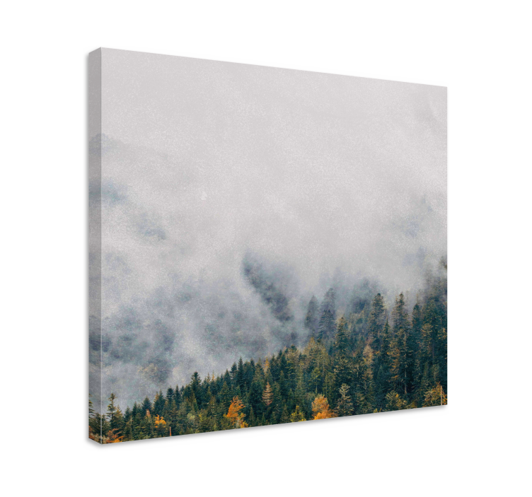 Canvas bomen mistig boslandschap - TenStickers