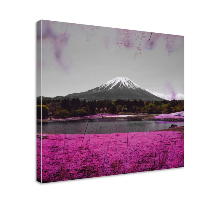Canvas landschap fuji reflectie - TenStickers