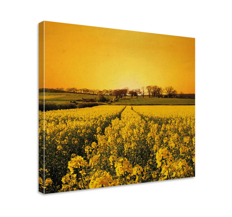 Canvas schilderijen bloemen Gele bloemen veld - TenStickers
