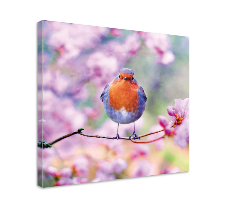 Canvas schilderij vogels charmante roodborst zittend - TenStickers