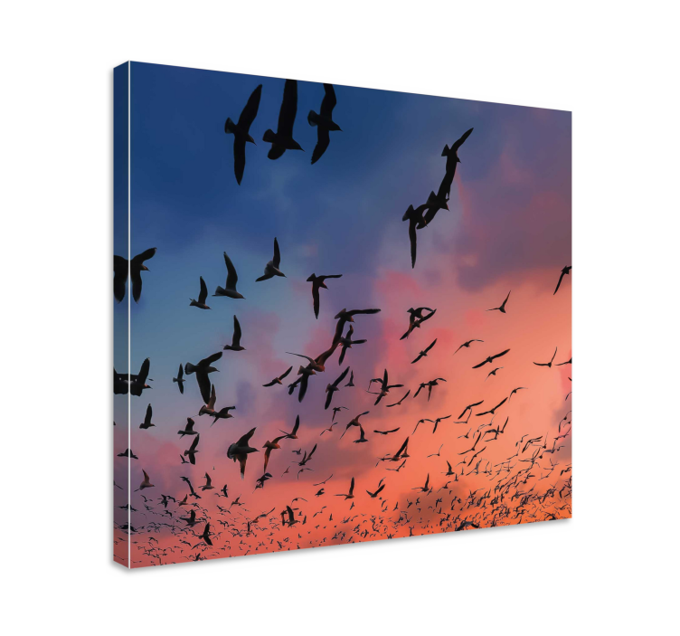 Canvas schilderij vogels vogels in een vlucht - TenStickers