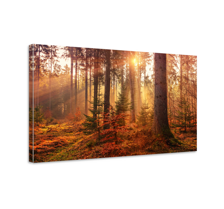 Canvas bomen bossereniteit - TenStickers
