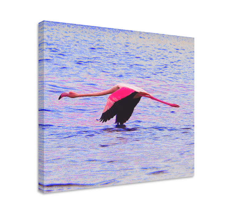 Canvas schilderij vis flamingo in vlucht - TenStickers