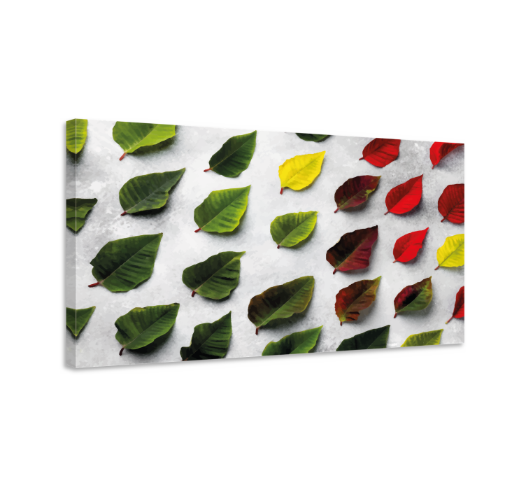 Diverse bladcollectie Canvas schilderij bloemen en planten - TenStickers