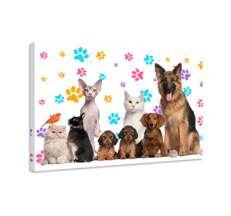 Canvas schilderij andere dieren Honden en katten - TenStickers