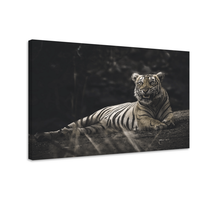 Canvas schilderij dieren majestueuze tiger rustend - TenStickers