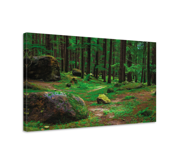 Weelderig bospad Canvas bomen - TenStickers