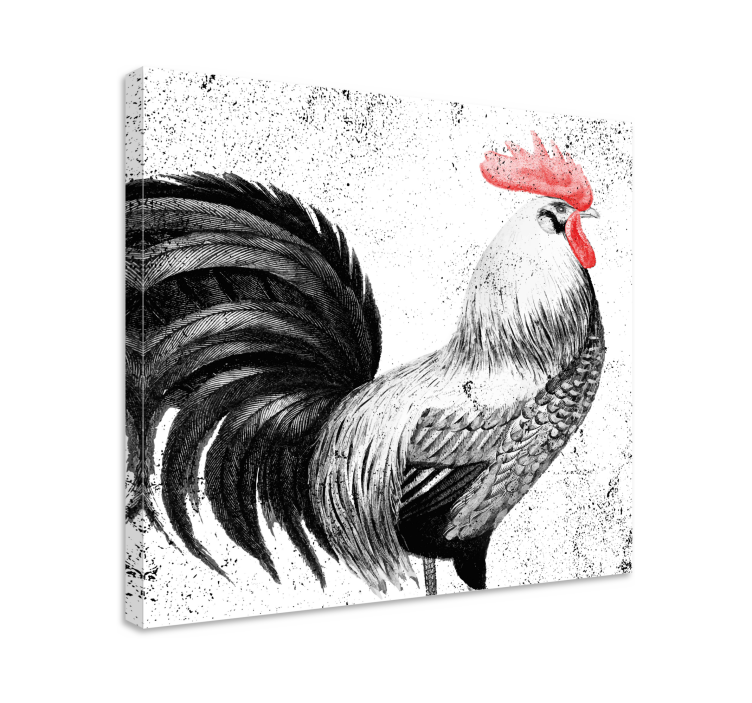 Canvas schilderij vogels Zwarte en rode haan - TenStickers